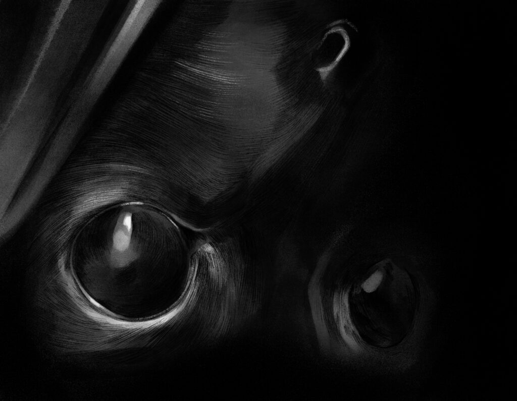 Acquamorta-1-grayscale-2