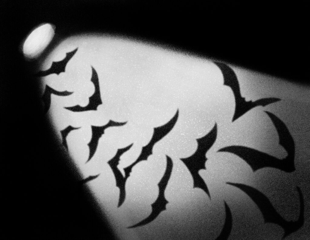 Acquamorta-1-grayscale-4